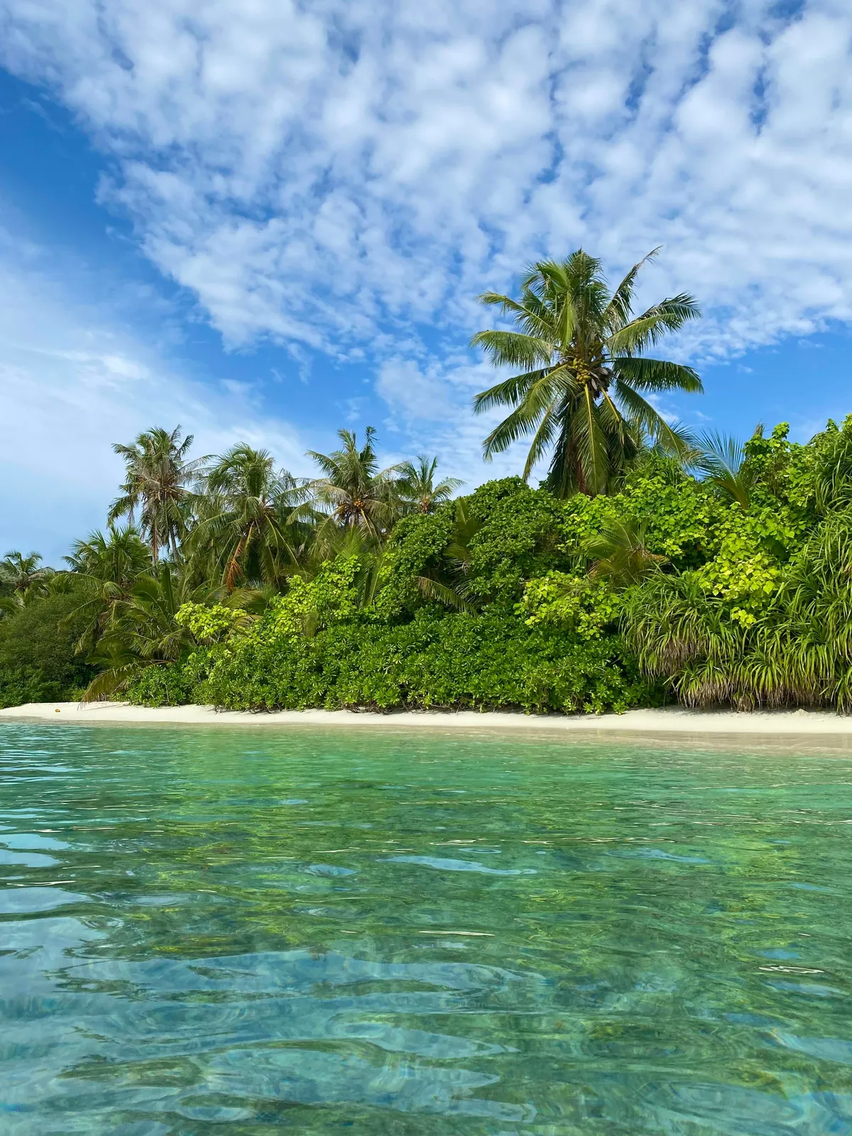 Spent a couple of days on a local Maldivian island and loved every second of it.