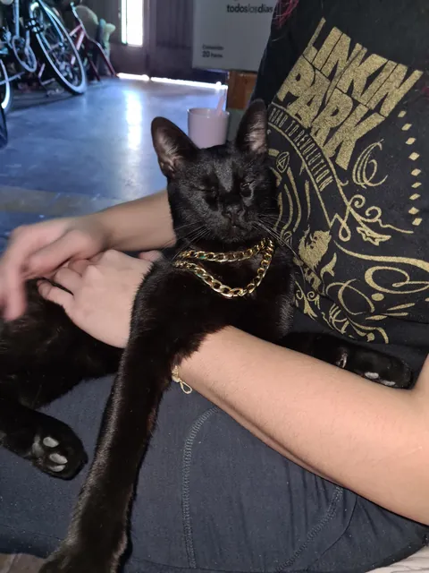 The love of my life. I have never loved anyone as much as I love my baby 😭💘