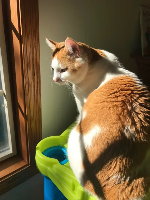 I lost my Baby, I’m heartbroken