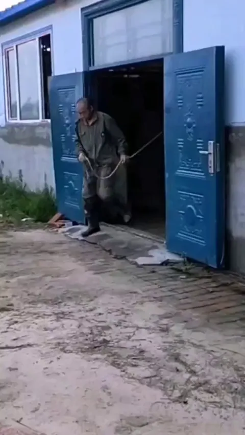 That is a Majestical Beast