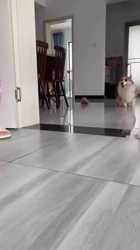 This is how its done