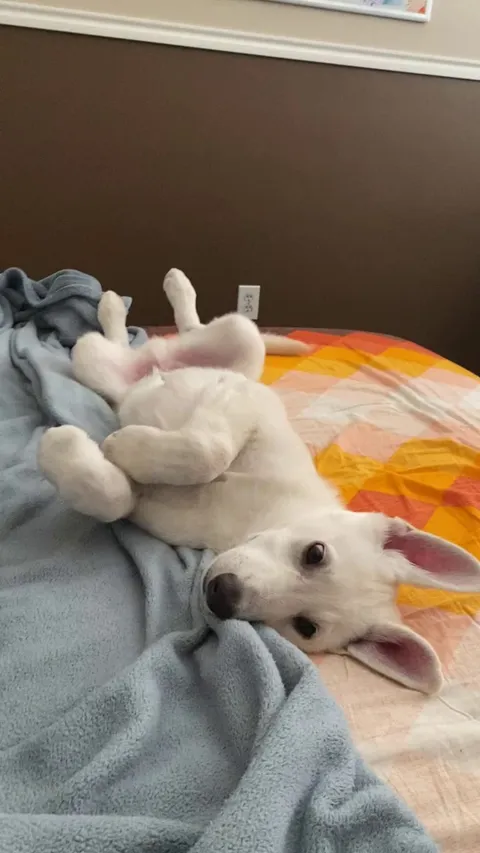 So cute when he wakes up