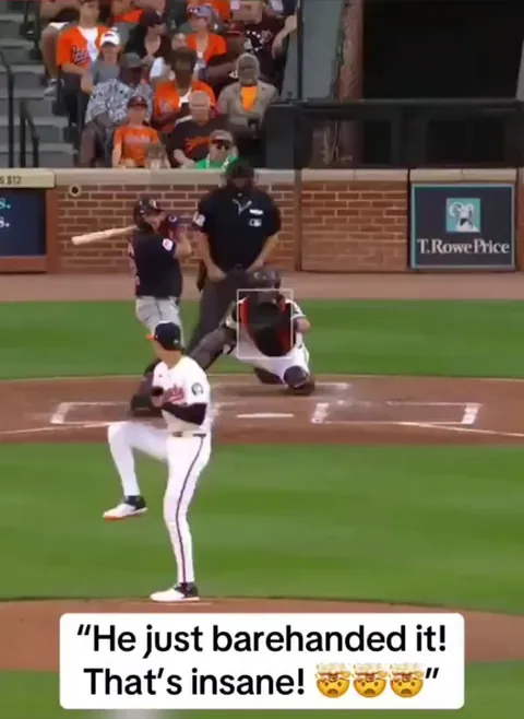 What a catch by this fan in Baltimore