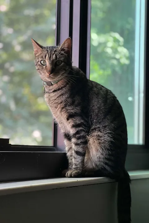 My bubba passed away suddenly.