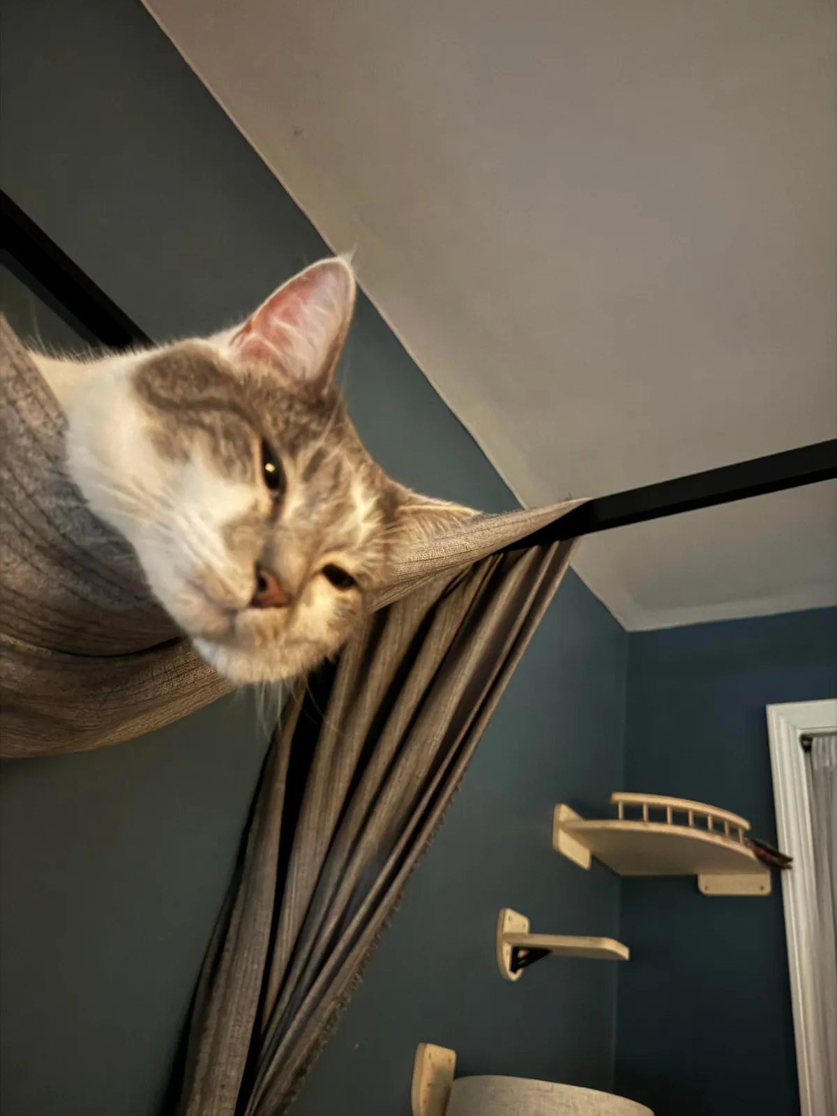 “You up yet? I’m hungry.”