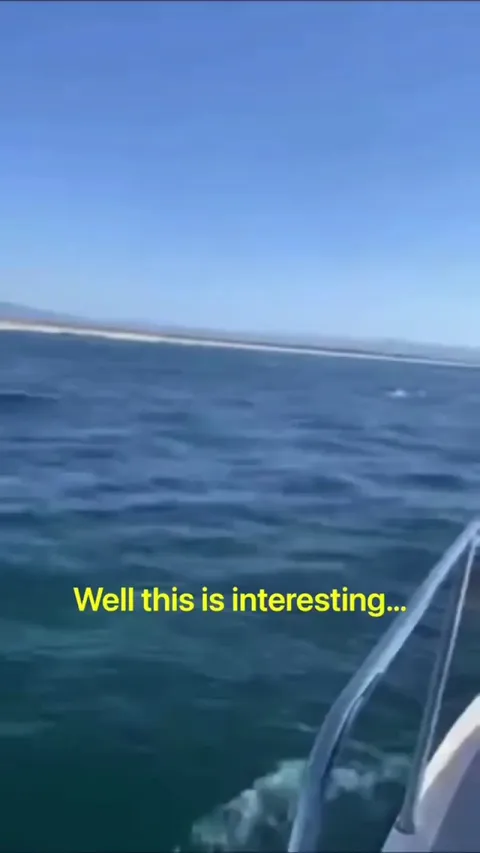 Fishermen rescue two girls who were swept out to sea