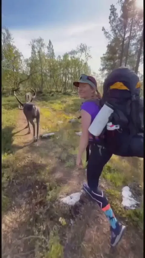 🔥A curious reindeer joins two hikers