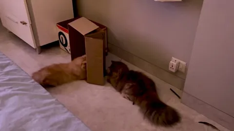 Who’s seeking if both are hiding?🤔