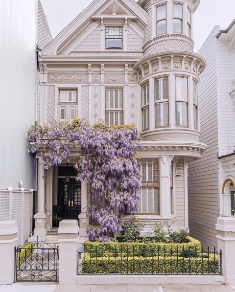 Victorian townhouse adorned with wisteria blossoms in San Francisco [1080×1344]