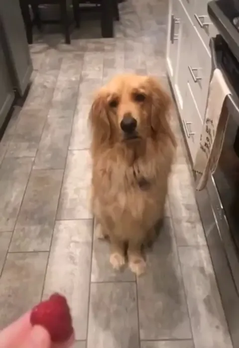 This level of betrayal has never been felt before