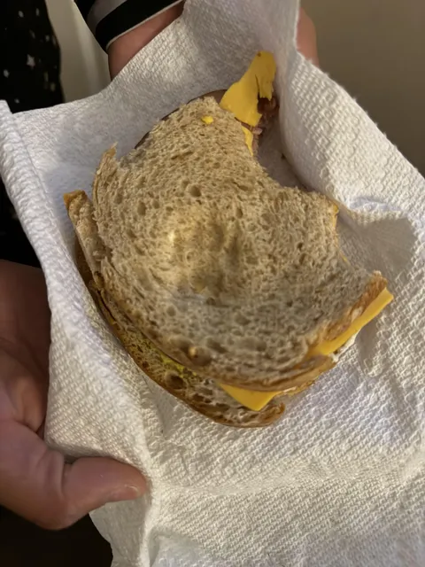 My cat stepped on my sandwich