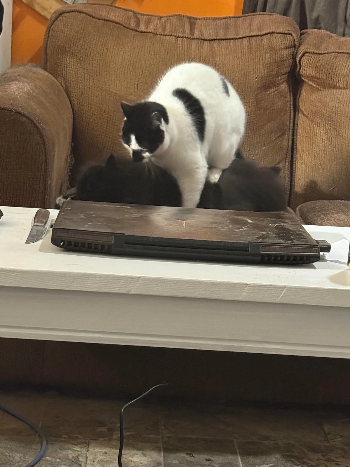 Pazuzu bugging Murphy, even when he tries to get away.