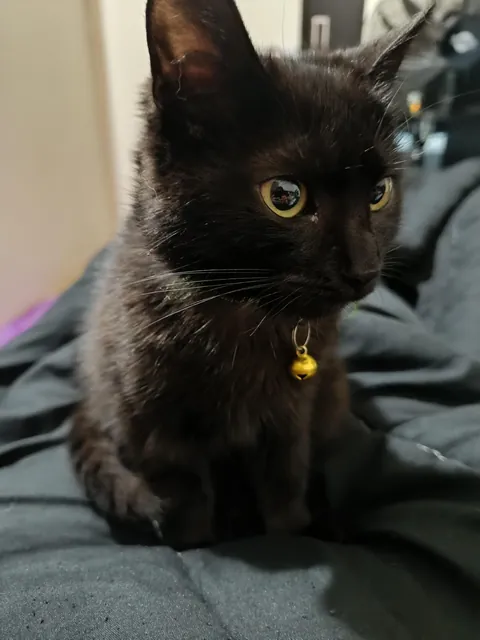 Today marks six months with me.🖤