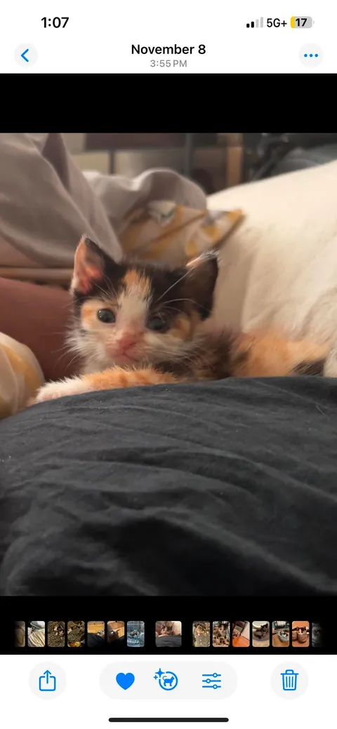 “Foster failing” as we speak