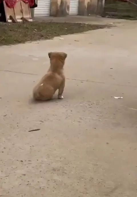 Waiting for your best friend after school