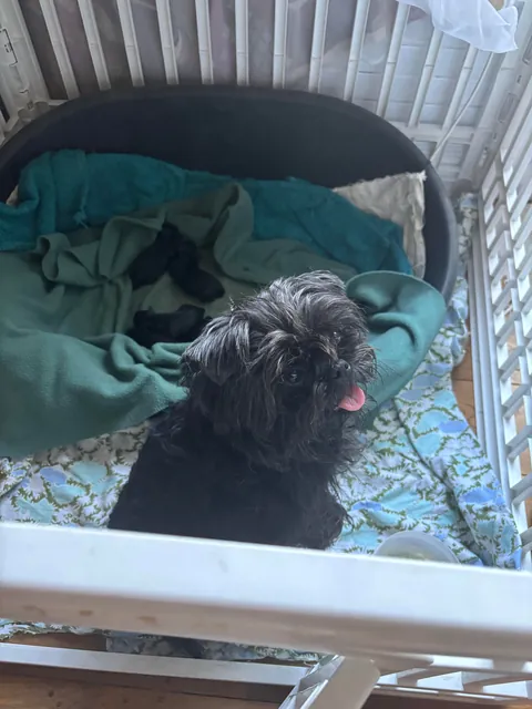 Babies and their proud mama😭