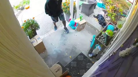 Porch pirate on RTX 3k delivery day