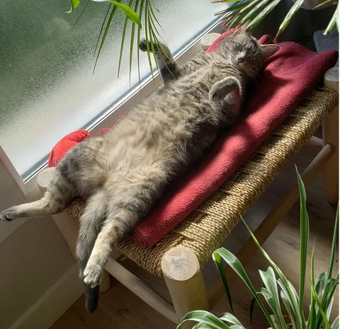 I’m sunbathing! So what?