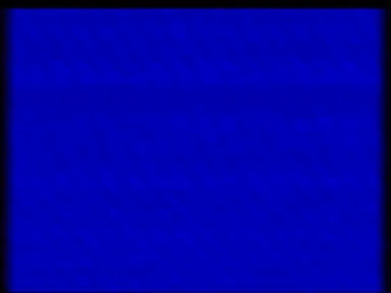 "Call 1-800-SEX-ROBOT and get your own Chica Assistant Animatronic for Home Use, for just $999,99!" [by ToBoredToExist]