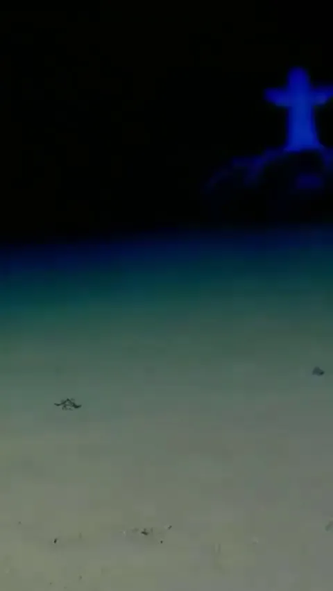 An deep sea encounter with a Big-Eye Jellyhead octopus (Cirrothauma cf. magna) seen in a timelapse at a depth of 4800m (15,750 feet).