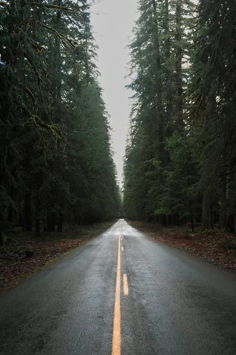 ITAP of a road in the forest