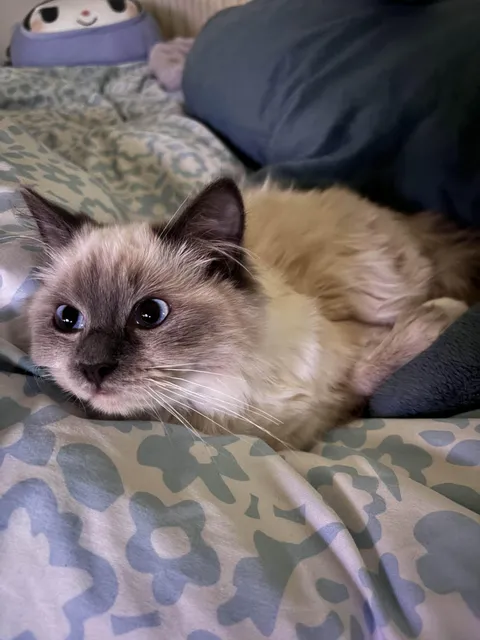 I was afraid to move when i saw her like this