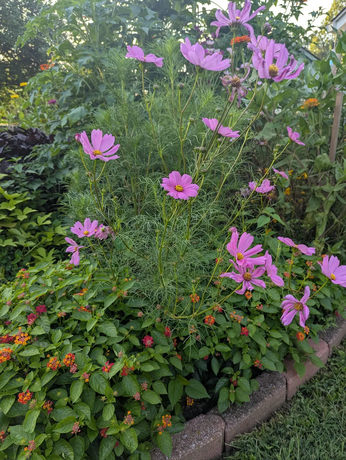 Just wanted to share some pics