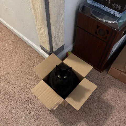 too big for the post-office baby ✉️📦