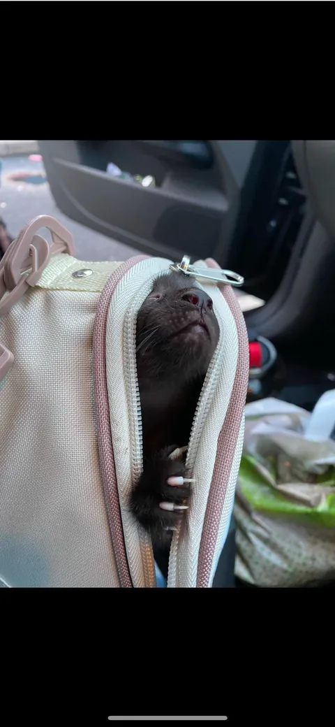 Please show me the day you got your void! (And them now!)