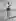 Photos of Stunt woman and athlete Relna Brewer Mcrea during her prime in Santa Monica, California, 1946. 5ft 2in and 110 pounds, could hold over 120 on one hand