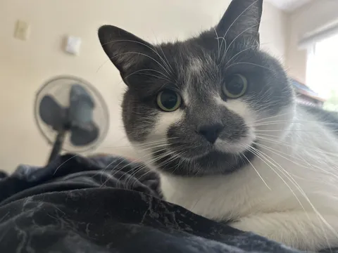 The first thing you see when you wake up