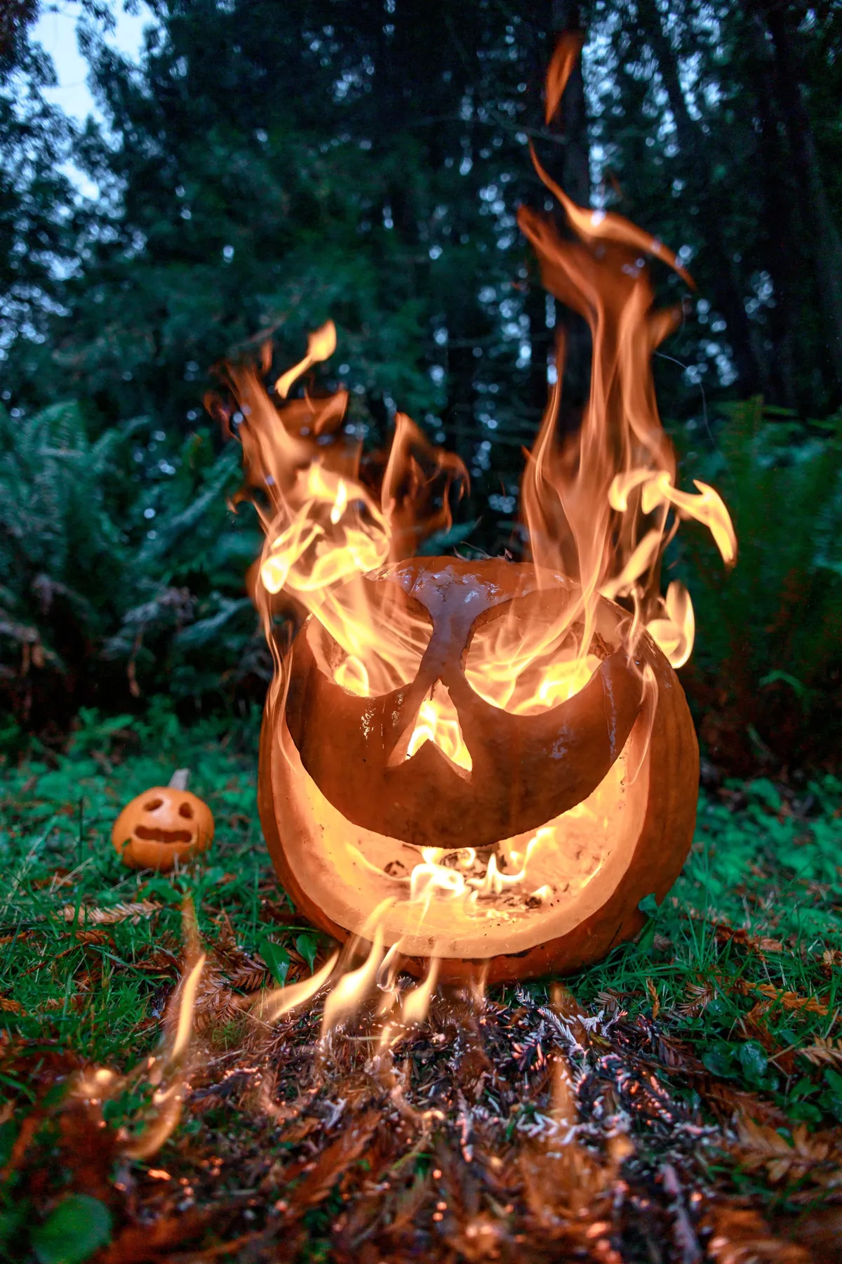 My yearly Halloween tradition: Carve a pumpkin so I can light it on fire for photos. [OC]