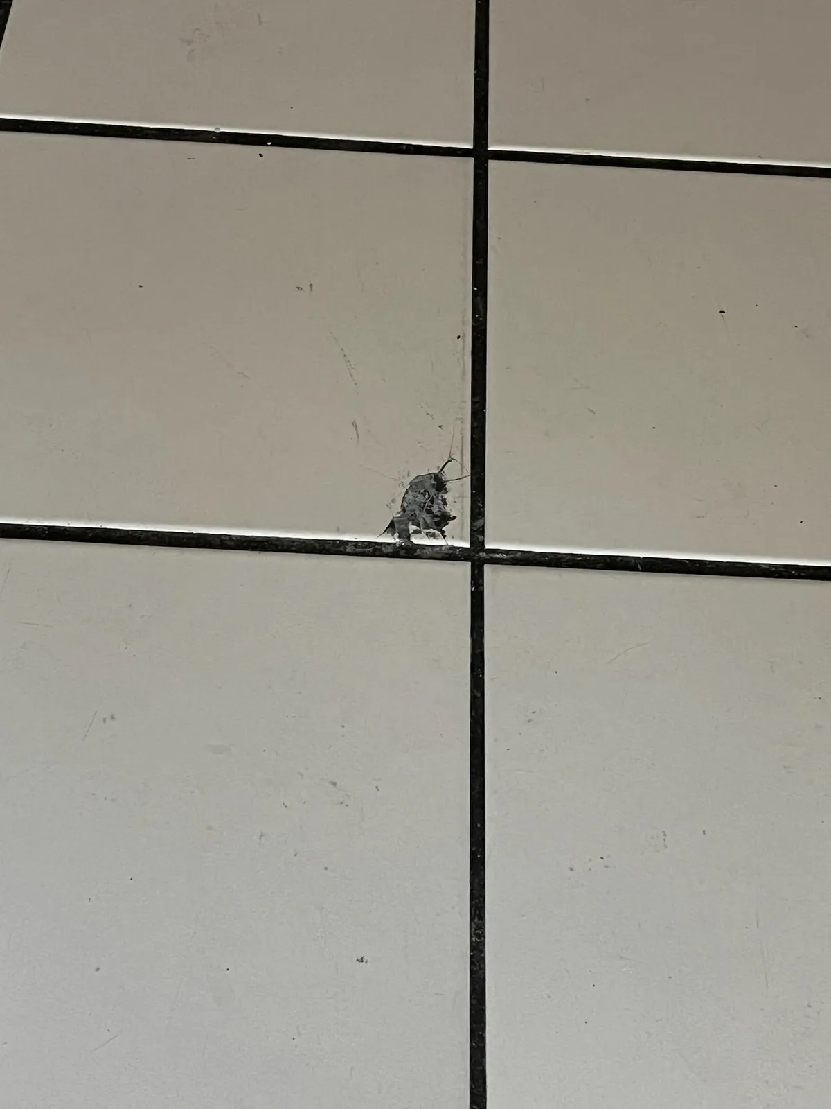 My landlord is keeping all of my deposit over one broken tile that his maintenance guy broke moving a dishwasher. 