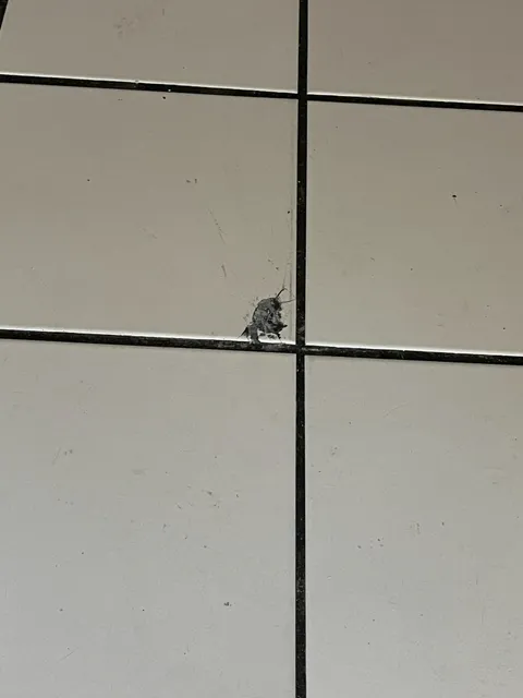 My landlord is keeping all of my deposit over one broken tile that his maintenance guy broke moving a dishwasher. 