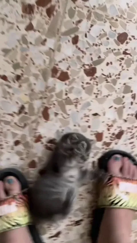 how can i go to work