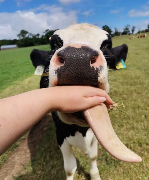 Just Panda being herself.