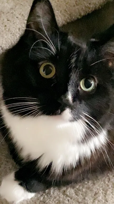 Had to say goodbye to my best friend