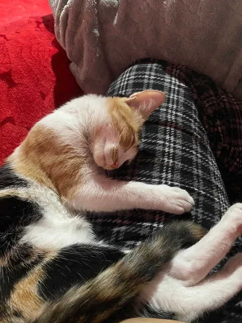 She saved me from committing suicide and gave me a reason to live.