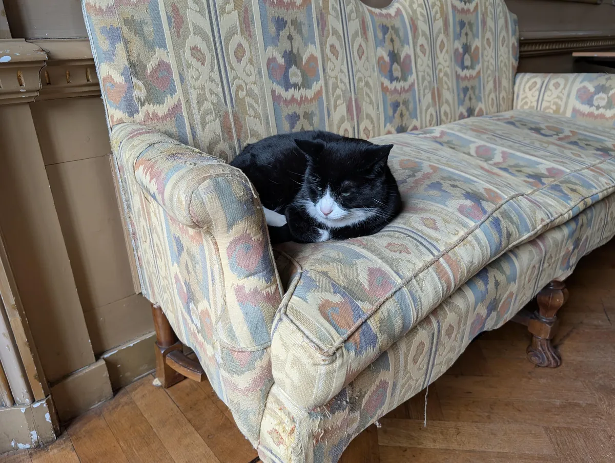 Amsterdam, Netherlands.  March 2025