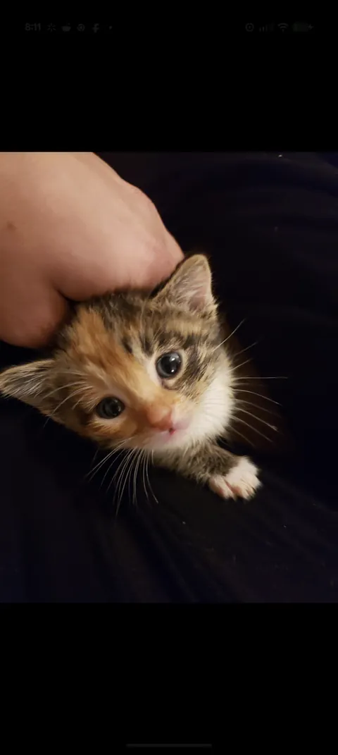 What name does she look like she would be?