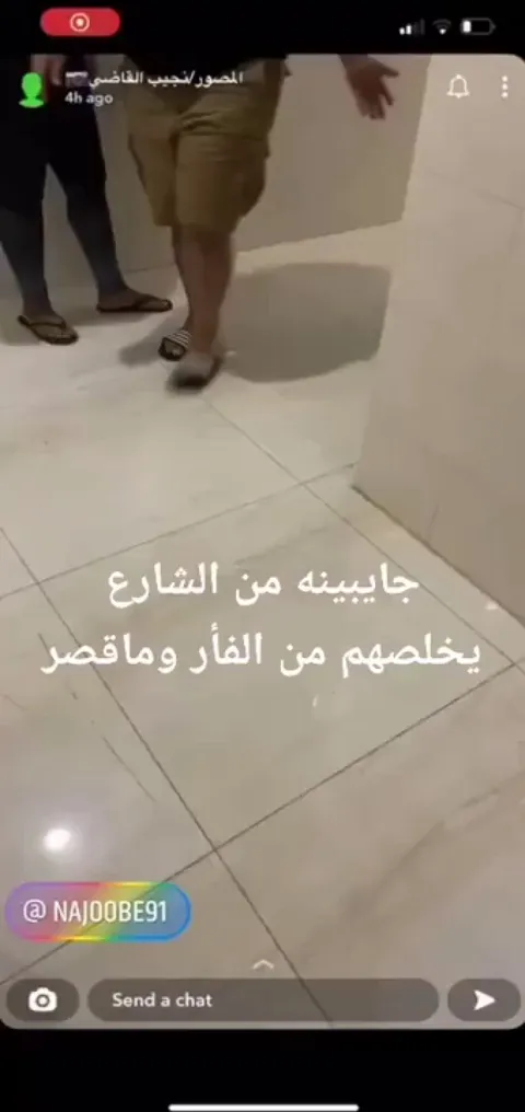 Guys bring a stray cat to help catch a rat