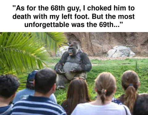Gorilla spreading the story