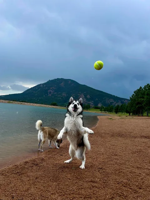 One of my favorite pictures I’ve ever taken - and the goofiness leading up to it!