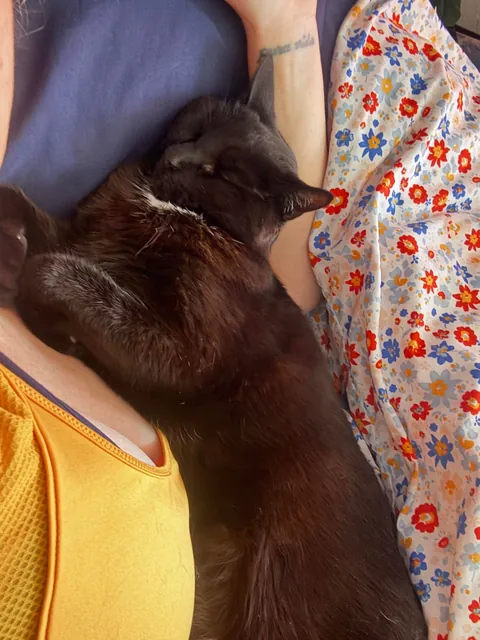 Love of my life beat cancer and turned 18 in Feb! Mr. Frank