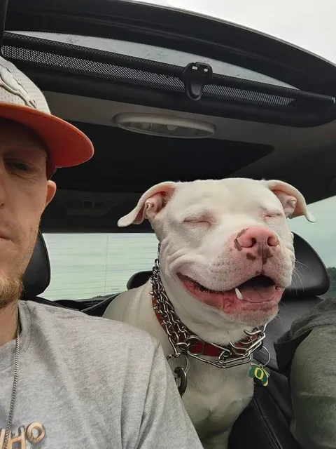 Every day is better with this guy by my side 🐶😍