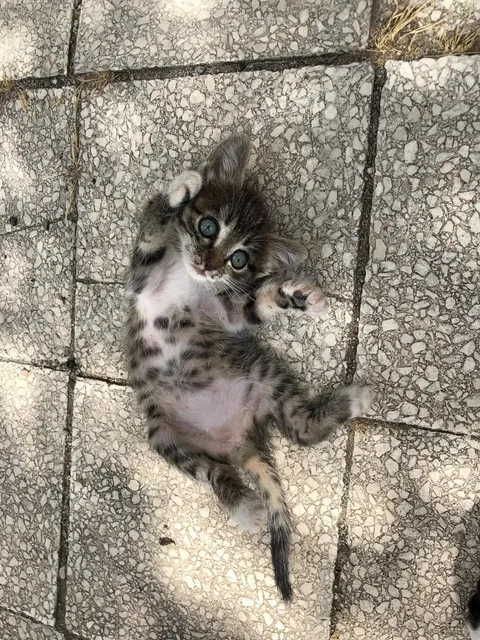 My beautiful baby girl Freya