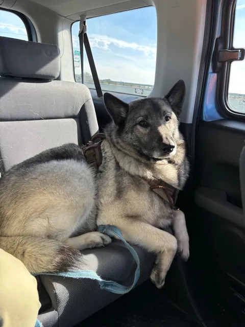 Mokey boy before and after his hike