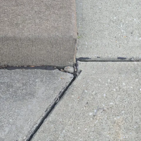 [OC] This rock is doing a crazy good mouse impression