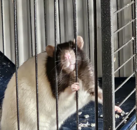 It has been 14 minutes since I have been fed