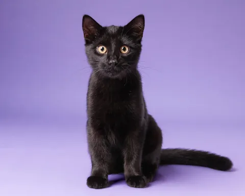 Look who's got a nice photoshoot